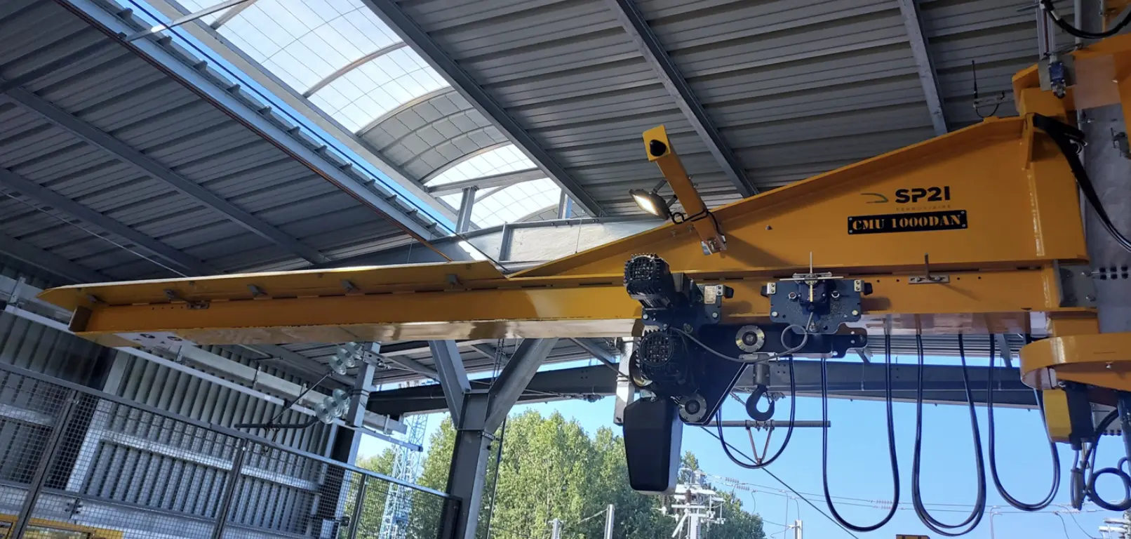 Grue Vélocipédique